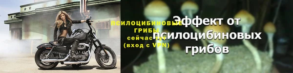 ALPHA-PVP Ельня
